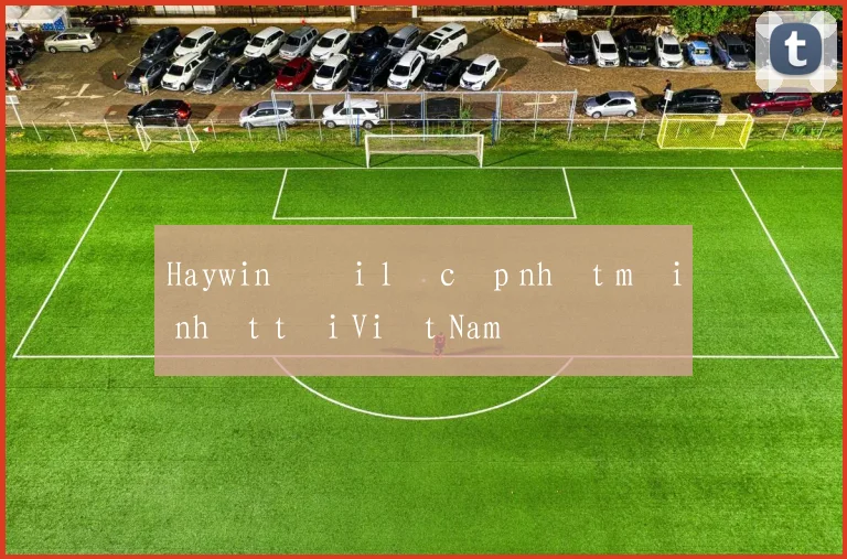 Haywin đại lý cập nhật mới nhất tại Việt Nam