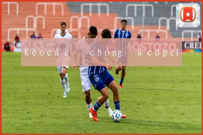 Kèo cá cược bóng đá cúp c1