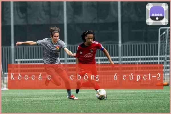 Kèo cá cược bóng đá cúp c1